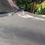 Does Lime Damage Car Paint