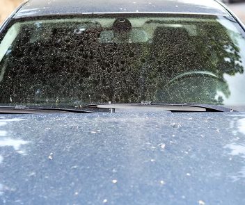 Does Rain Remove Car Wax